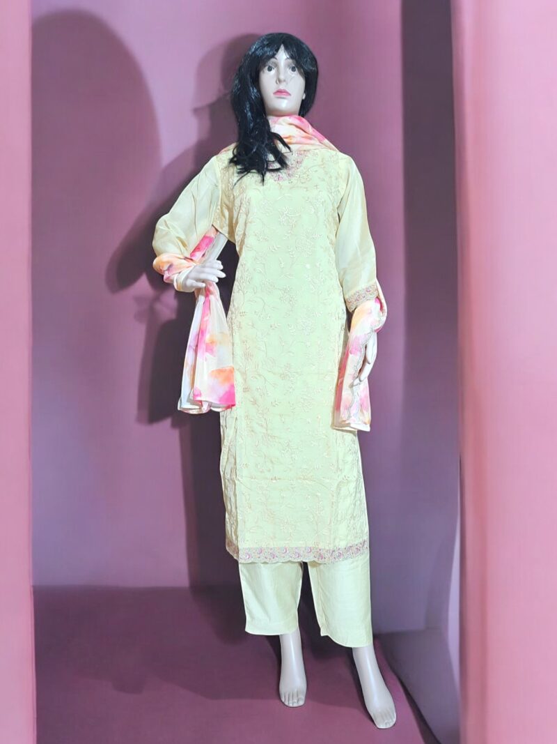 3 piece set kurta, bottom sarten organza dupatta - Image 3