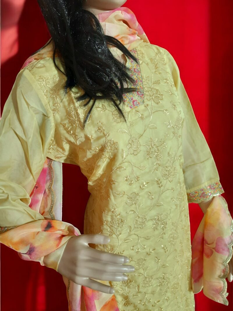 3 piece set kurta, bottom sarten organza dupatta - Image 9