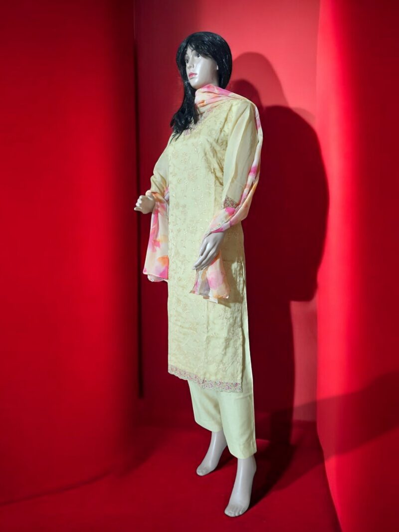 3 piece set kurta, bottom sarten organza dupatta - Image 8
