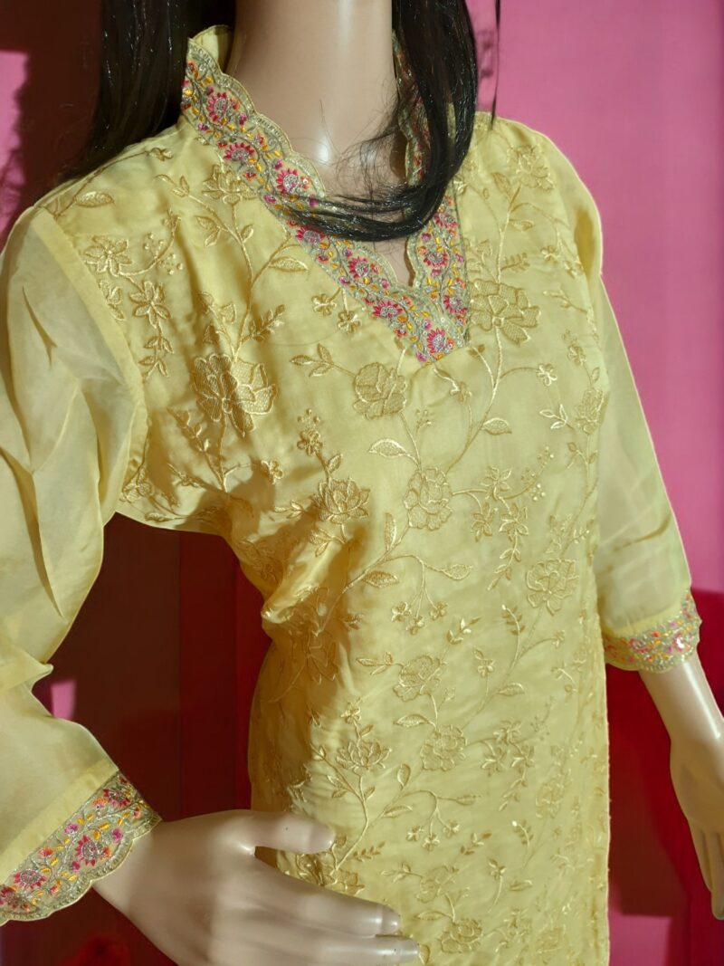 3 piece set kurta, bottom sarten organza dupatta - Image 6