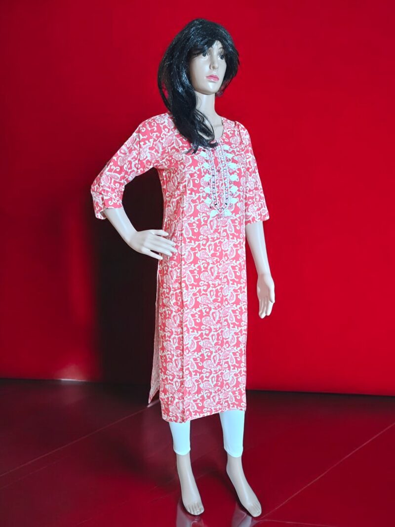 Rahi Reyon cotton printed mirror work - Image 2